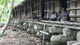 buildings and more  Asmat Papua [upl. by Sille96]