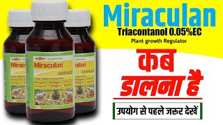 Miraculan Plant growth regulator  Triacontanol 005 ec  Dow Miraculan [upl. by Zannini]