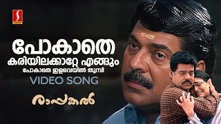 Pokathe Kariyila Katte Video Song  Rappakal  Mammootty  Afsal  Mohan Sithara  Kaithapram [upl. by Stiegler]