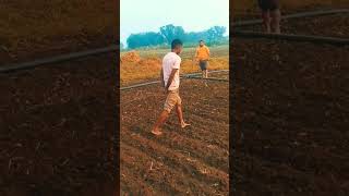 viral mini bolag farming youtube short videoviralfarming vlog [upl. by Tjon145]