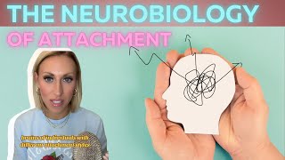 The neurobiology of attachment [upl. by Huesman850]