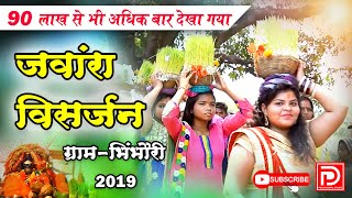 jawara visarjan bhimbhouri  जंवारा विसर्जन ग्राम भिंभौरी बेरला [upl. by Kermit]