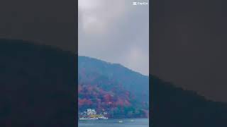 Autumn in japan nikko shorts shortvideo youtubeshorts [upl. by Kepner]