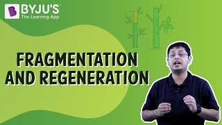 Fragmentation And Regeneration  Class 7  Learn With BYJUS [upl. by Oznohpla287]