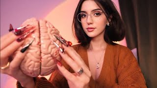 ASMR Brain Melting Triggers to Help You Sleep [upl. by Nya349]