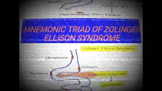 MNEMONIC TRIAD OF ZOLINGER ELLISON SYNDROME medicinelectures medicineeducationtalks [upl. by Nerradal]