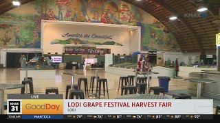 Lodi Grape Festival and Harvest Fair [upl. by Miche]