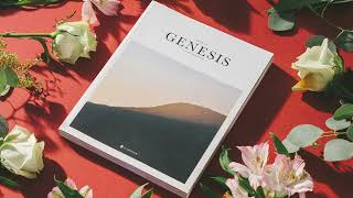 Genesis Chapter 39 Joseph and Potiphars Wife [upl. by Katleen]