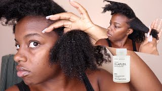 Will Olaplex TRANSFORM My 4C Natural Hair First Impressions [upl. by Yur78]