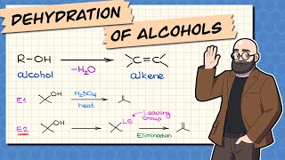 Dehydration of Alcohols  Synthesis of Alkenes [upl. by Aisatsana]