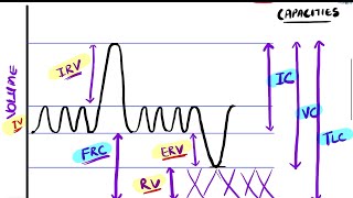 Pulmonary Function Tests Part 1a  Respiratory Physiology [upl. by Weisbrodt830]