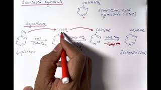 Isoniazid Synthesis Medicinal Chemistry [upl. by Eslud929]