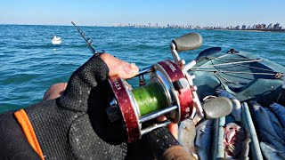 PESCA ENTRE BALLENAS LOBOS MARINOS DELFINES PINGÜINOS Y GAVIOTAS [upl. by Moll]