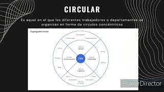 Tipos de organigramas y como crear uno usando Smart Art [upl. by Ttnerb]