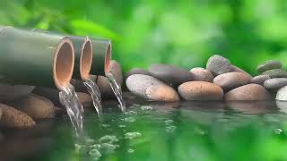 Relaxing Music  Spa Music Massage Yoga Sleep Music Running Water Stress Relief Music Zen [upl. by Laurence]