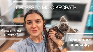 Кровать собрали Мышьяк на улицах Хранение из фикспрайса Минск Мир 🌍 [upl. by Narmak]