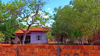 VENDE SE ESTA CASA NO POVOADO MOCÓS TERRENO MEDINDO 20X80 A 15 KM DE ESPERANTINA PIAUÍ [upl. by Esma]