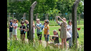 Herdenkingsuitzending over de kindertransporten vanuit Kamp Vught juni 2021 [upl. by Aynekal]