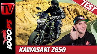 Kawasaki Z650 2020 Test  die Beste der Klasse [upl. by Leinnad]