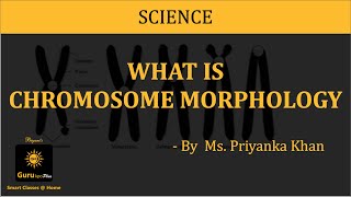 Chromosome Morphology BSc MSc Lecture by Ms Priyanka khan I Guru Kpo [upl. by Brace]