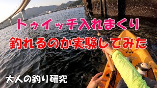 トゥイッチ入れまくり 釣れるの？ 【大人の釣り研究No3】 [upl. by Malory]