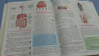 Digestive system ICSE class 9th chapter explained [upl. by Cudlip]