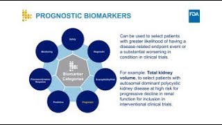 Biomarker Terminology Speaking the Same Language [upl. by Buttaro]