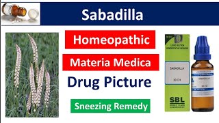 Sabadilla Homeopathic Medicine  Drug Picture  Materia Medica bhms materiamedica sabadilla [upl. by Anselm]