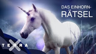 Woher stammt der EinhornMythos  Terra X [upl. by Ziza]