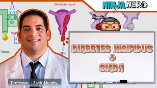 Diabetes Insipidus and SIADH  Clinical Medicine [upl. by Eolcin]