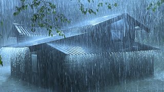 Rain Sounds for Sleep  White Noise for Deep Rest Relaxation and Anxiety Relief [upl. by Kathryn]