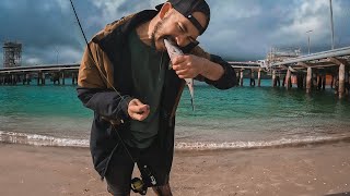 Fishing Marsden Point Refinery for Kahawai using lures off the beach [upl. by Reivaj]