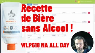 Réalisation du recette dune 🍺 IPA 🚫 Sans Alcool [upl. by Demetri23]