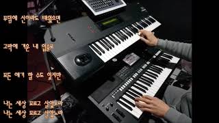 Yamaha PSR S975 세상모르고살았노라활주로 [upl. by Cindee284]