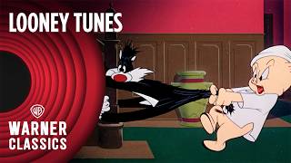 Looney Tunes  Scaredy Cat 1948 Full Episode  Warner Classics [upl. by Yma543]