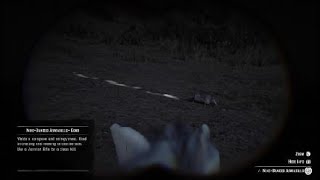 Red Dead Redemption 2 NineBanded Armadillo Location [upl. by Xever]