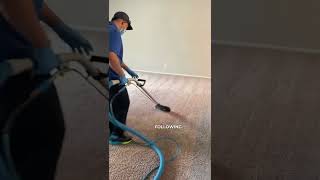 How to Clean Carpets Our Process [upl. by Einittirb701]