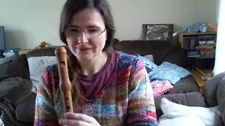 Descant Soprano Recorder Comparison Waldorf Edition Dream Edition Zamra Moeck Rottenburgh [upl. by Weed535]