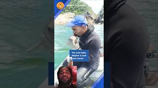 Rescue Team Dolphin fishing dolphinlove fish shark animals bigfish feelgood dolphin cute [upl. by Cahn]