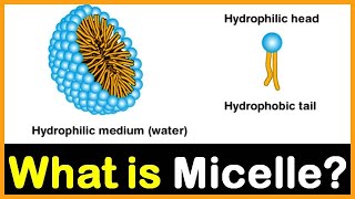 What is Micelle  Hindi  Dr Priyank Singhvi [upl. by Droffig]