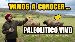 Vamos a conocer Paleolítico Vivo [upl. by Emory]