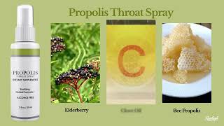 Shield Your Immune System and Soothe a Scratchy Throat With Propolis Throat Spray [upl. by Inatirb539]