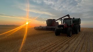 Getting Closer To The End  Gebhardt Harvesting [upl. by Gaudette283]