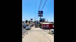 La famosa colonia Buenos Aires en Tijuana ❤️🦓🔥 [upl. by Haeluj]