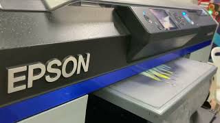 EPSON F2100  DTG IMPRESSÃO DIRETA NO TECIDO [upl. by Suiramed]