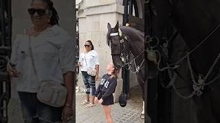 Horse knocks off kids baseball cap royalhorseguard [upl. by Angela]