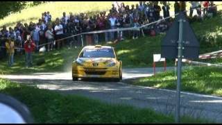 Rally Delle Valli Cuneesi 2010  Es 5 Brondello [upl. by Garey]