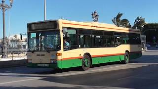 Autobus urbano de Cadiz  Mercedes Benz O405n2 Hispano VOV Nº260 de tranvia de Cadiz [upl. by Dulcia]