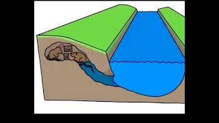 The geomorphology of a river [upl. by Thomas]