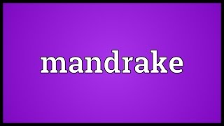 Mandrake Meaning [upl. by Enier]